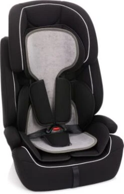 Fillikid Antitranspirations Universalauflage Grau Für Autositze Gr. 0+1+2+3 -Fillikid 25046957 06